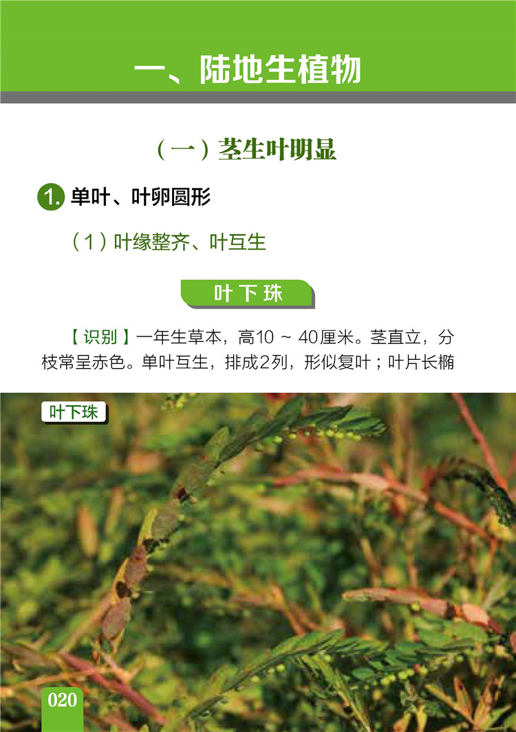 书摘1.jpg