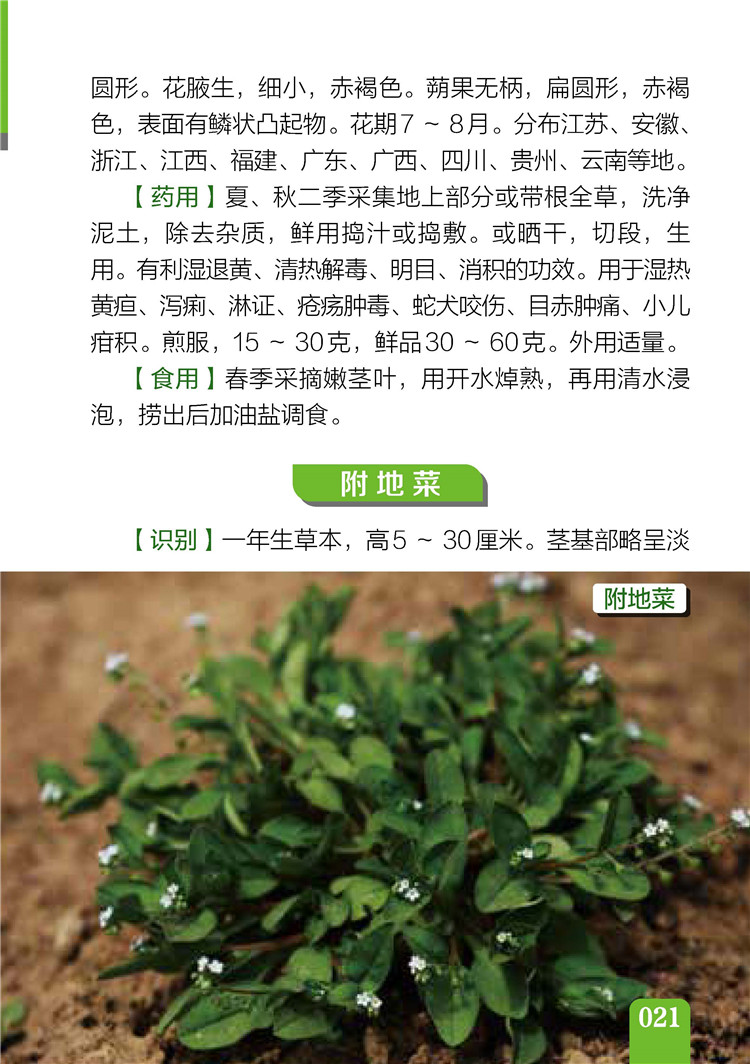 书摘2.jpg