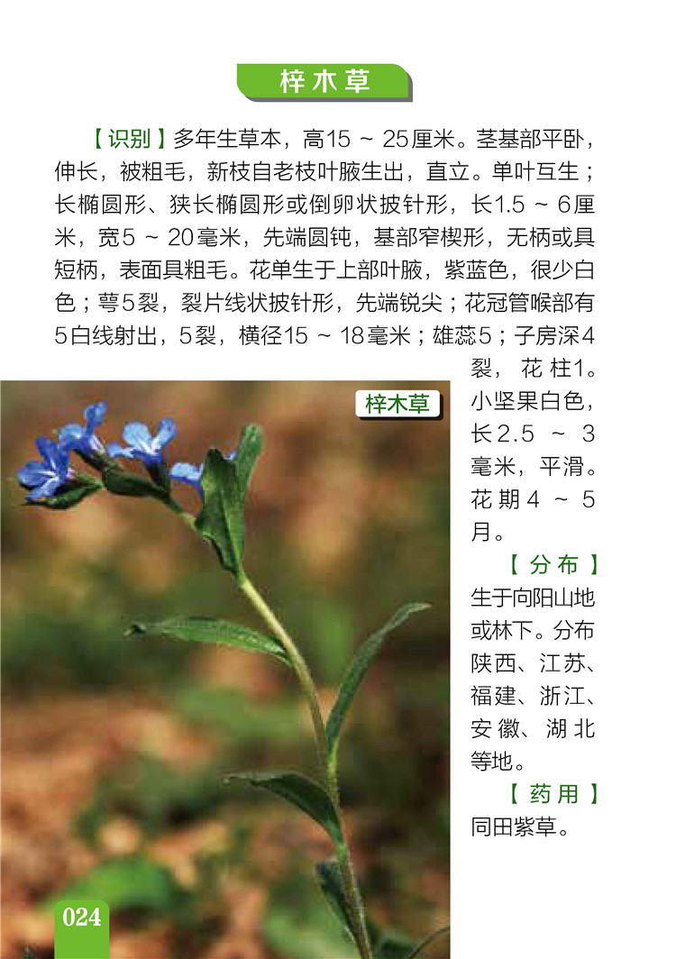书摘5.jpg