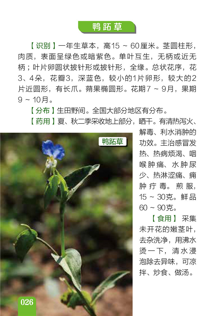 书摘7.jpg