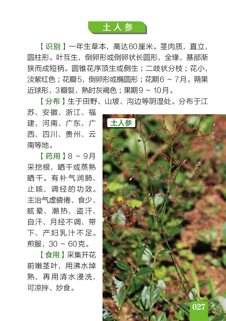 书摘8.jpg