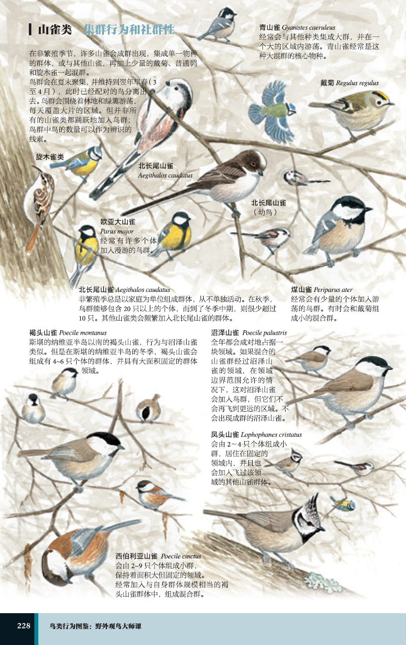详情-10.png