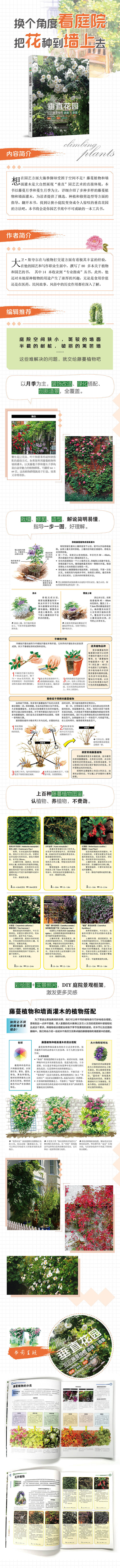 详情2.jpg