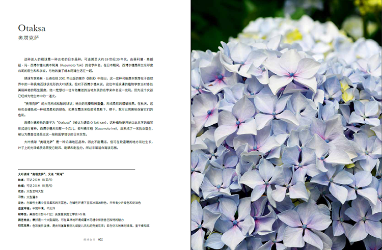 绣球书摘1.jpg