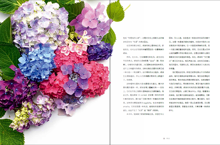 绣球书摘4.jpg