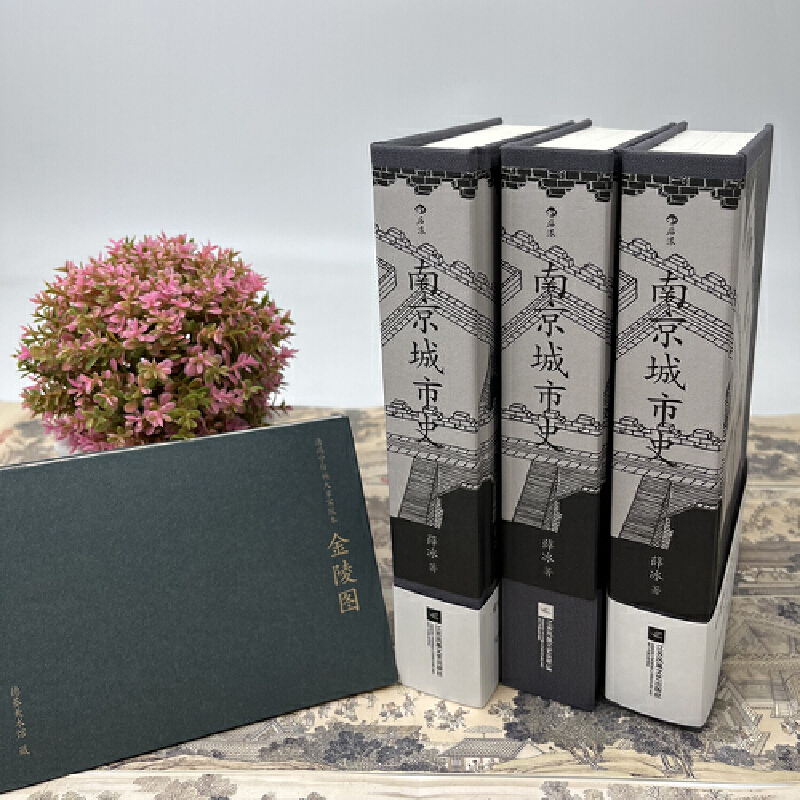 薛冰 地方史志（2冊套裝）南京城市史+家住六朝煙水