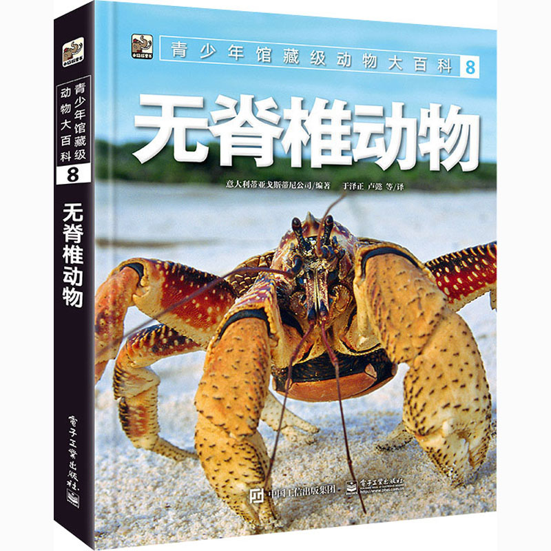 主图-01.jpg