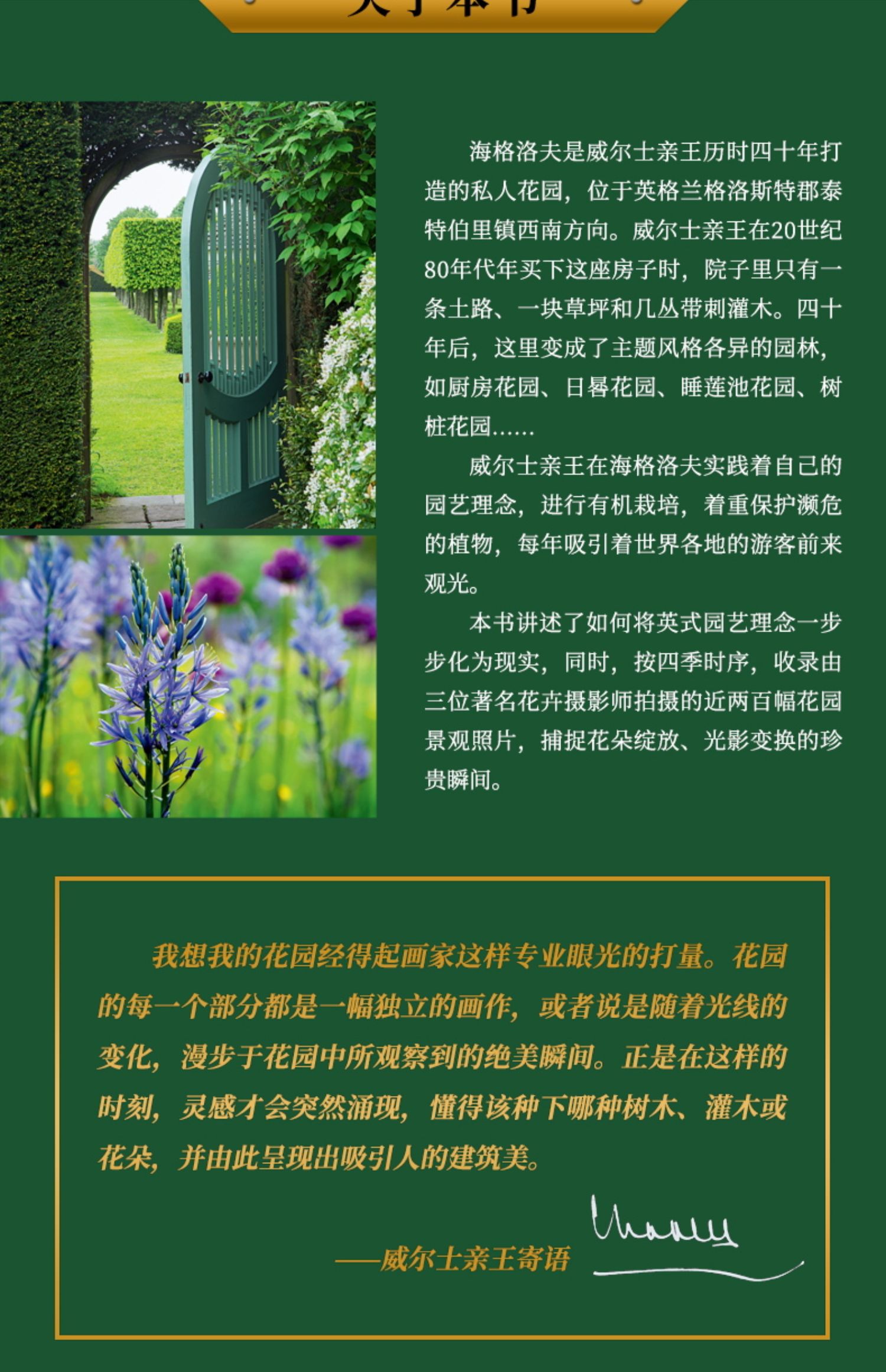 详情6.jpg