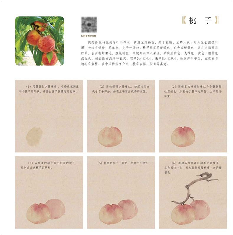 详情-07.jpg