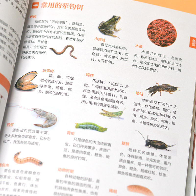 圖解陽台種菜一學就會+全新垂釣知識圖鑑（全兩冊）