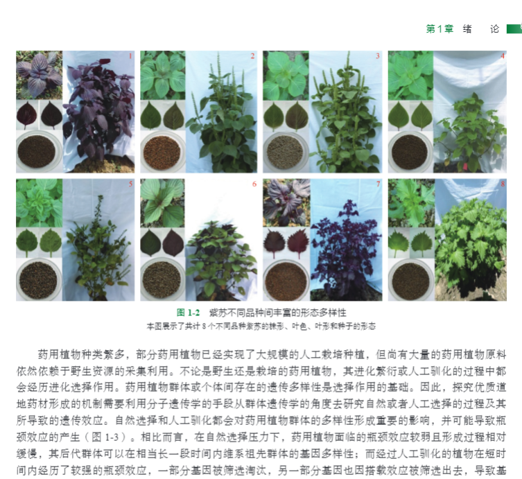详情5.jpg
