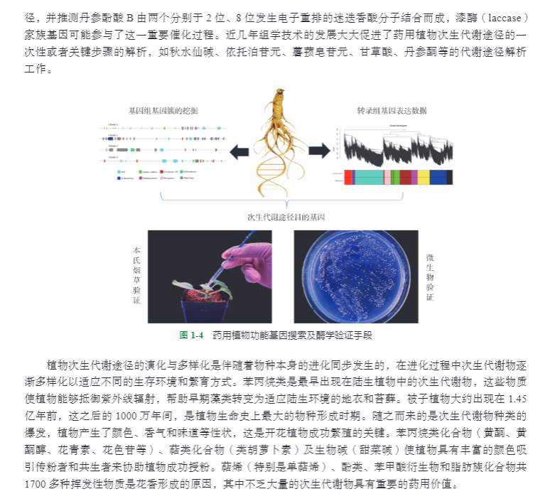 详情8.jpg