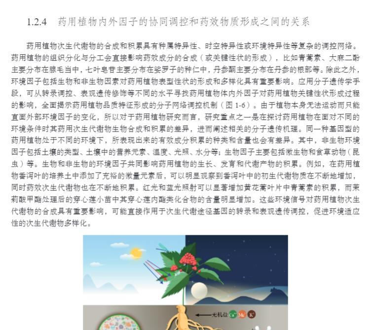 详情10.jpg