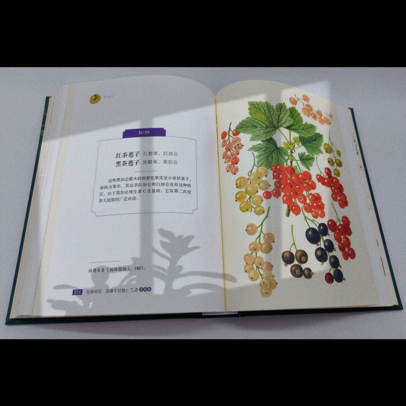 实拍6.jpg