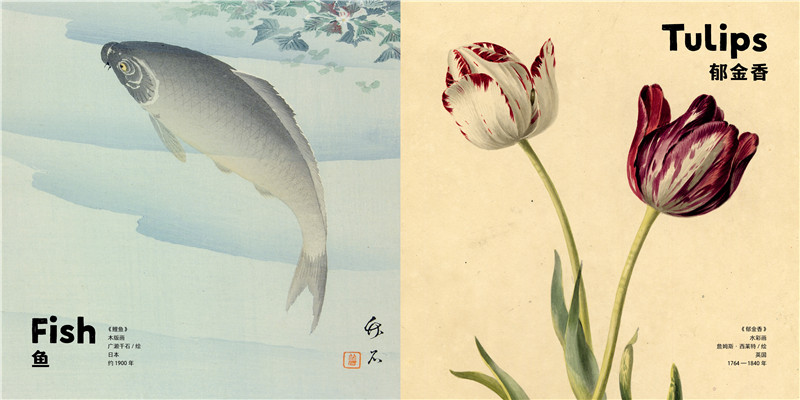 书摘10.jpg