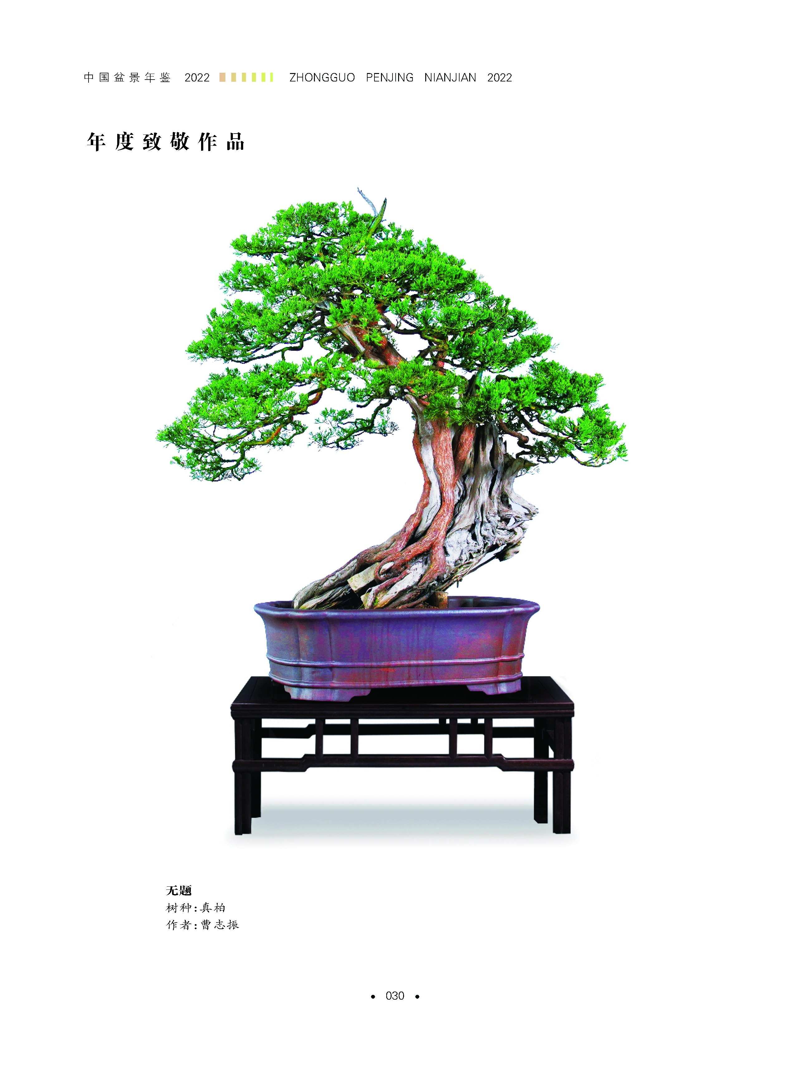 详情4.jpg
