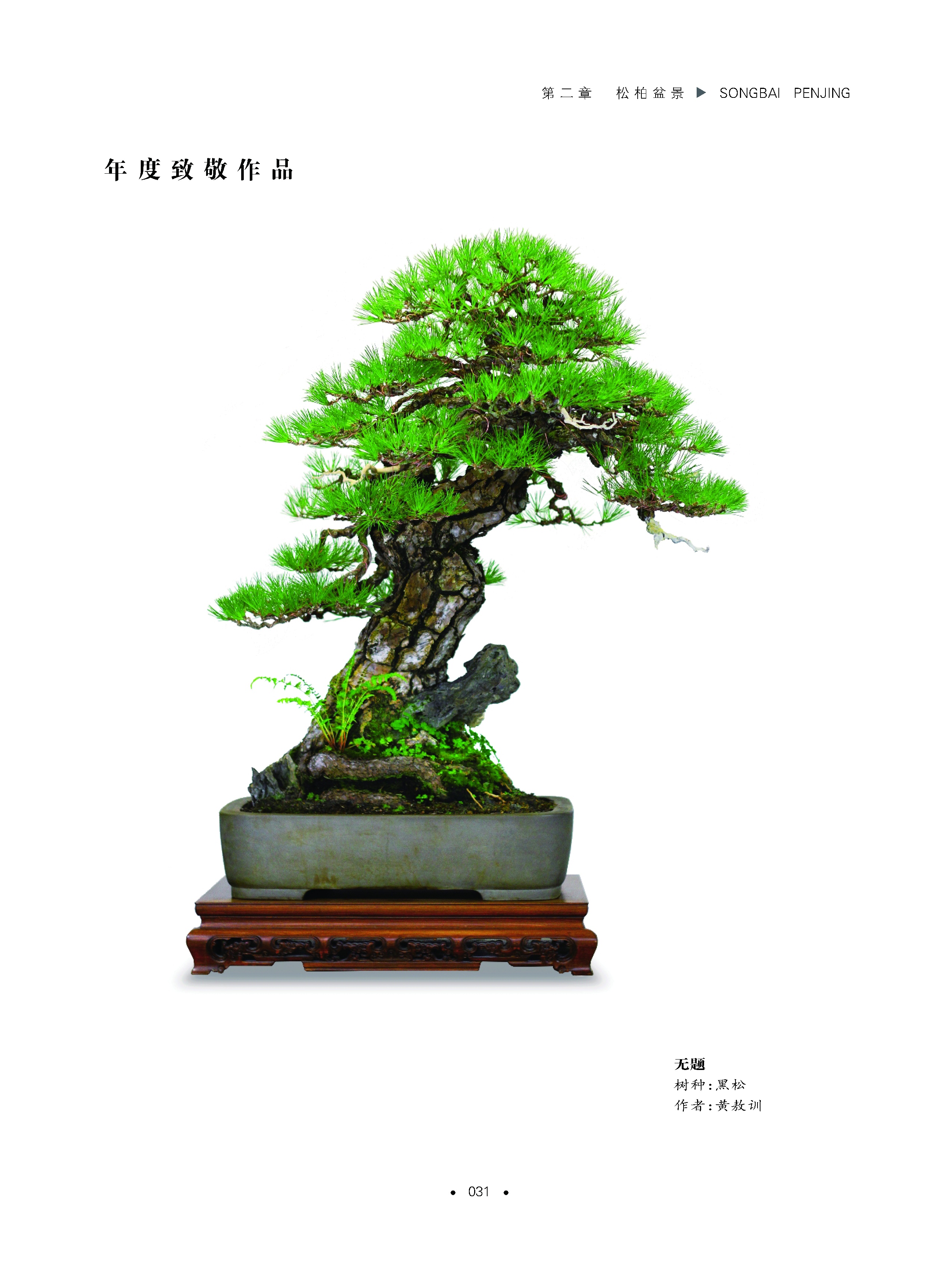 详情5.jpg