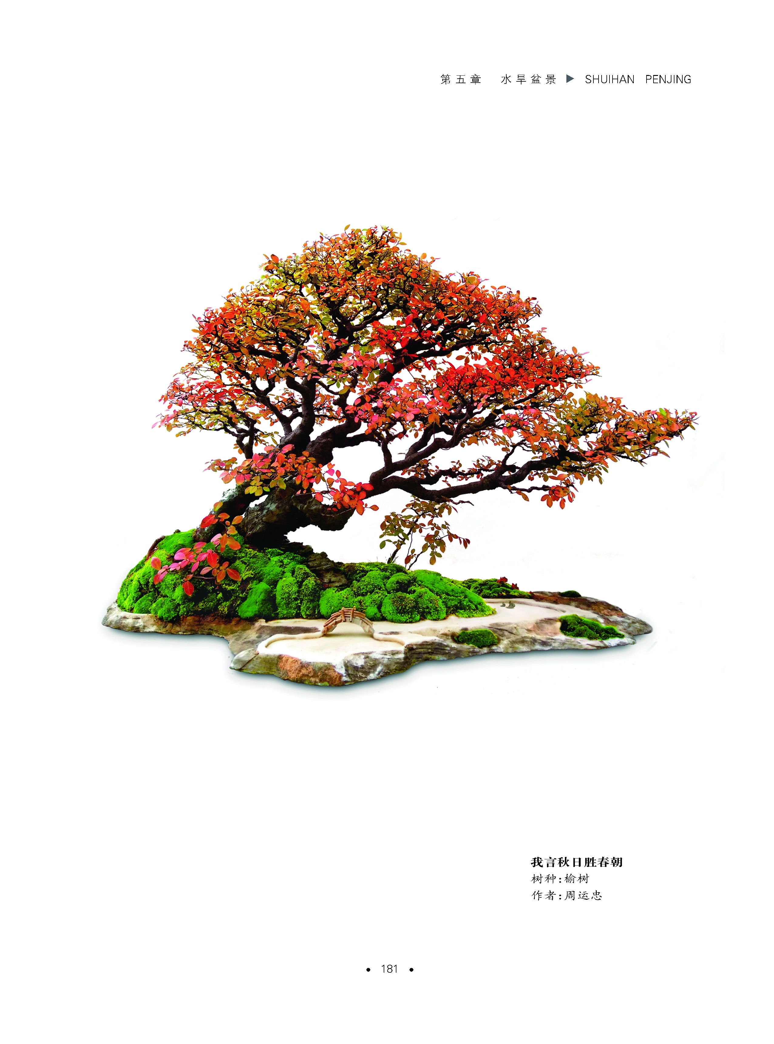 详情7、.jpg