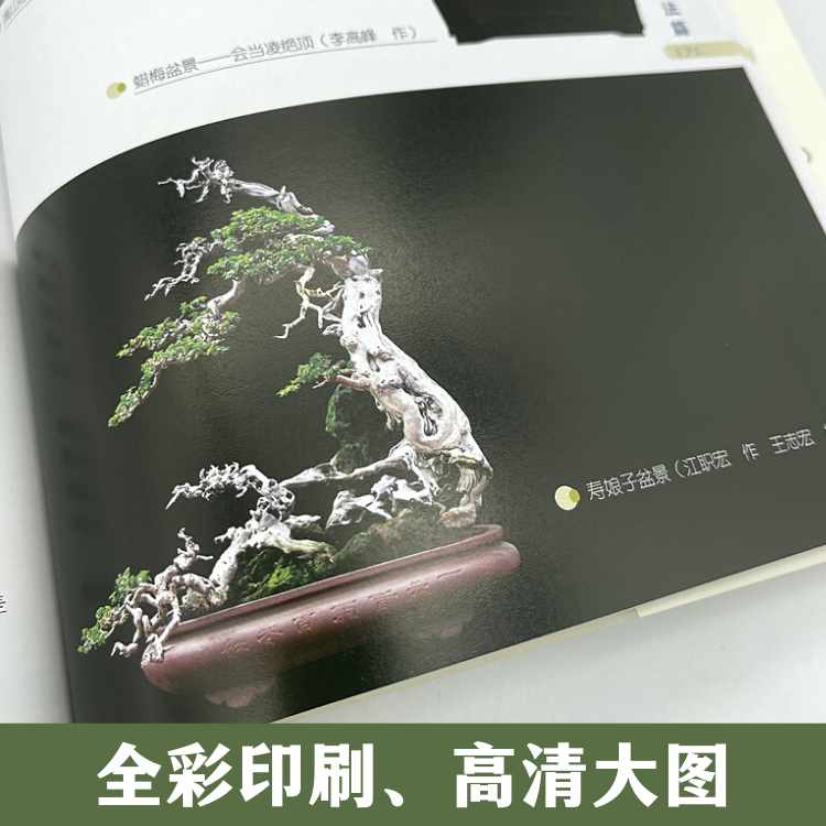 盆景5.jpg