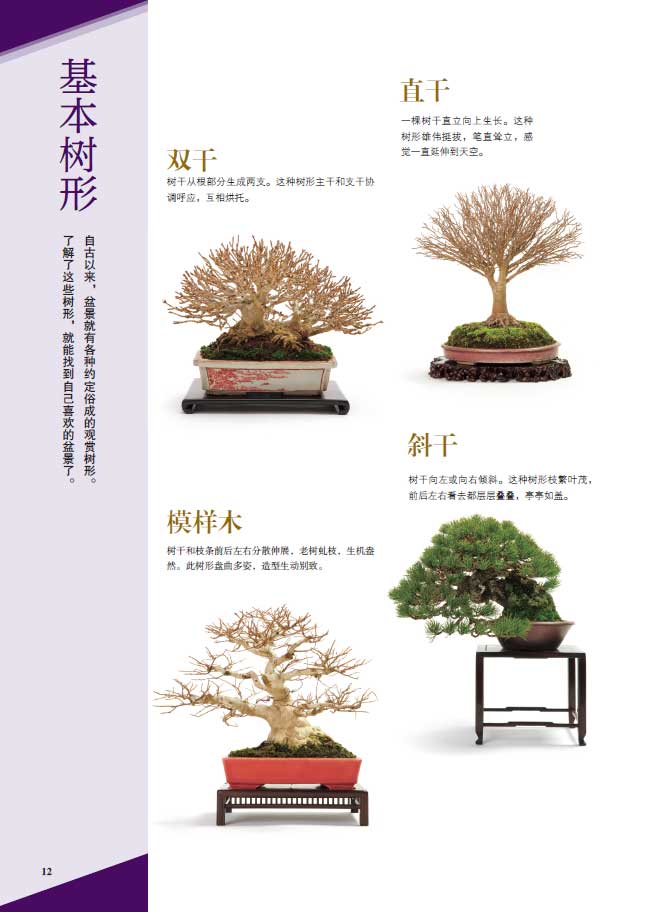 树木详情1.jpg