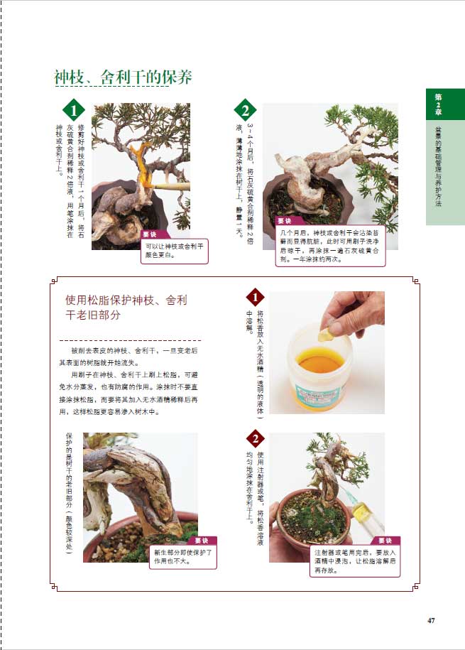 树木详情6.jpg