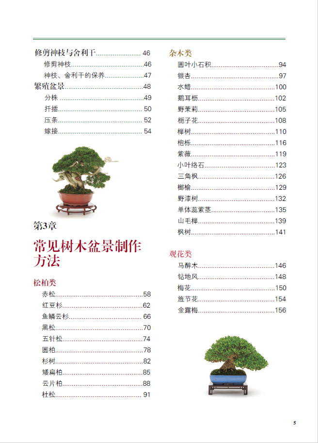 树木目录2.jpg