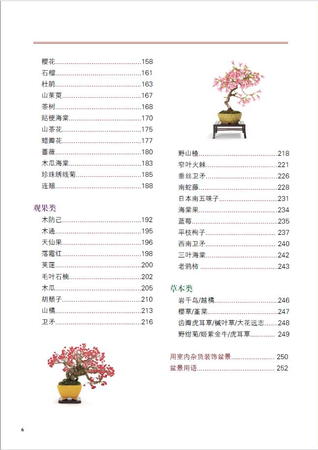 树木目录3.jpg