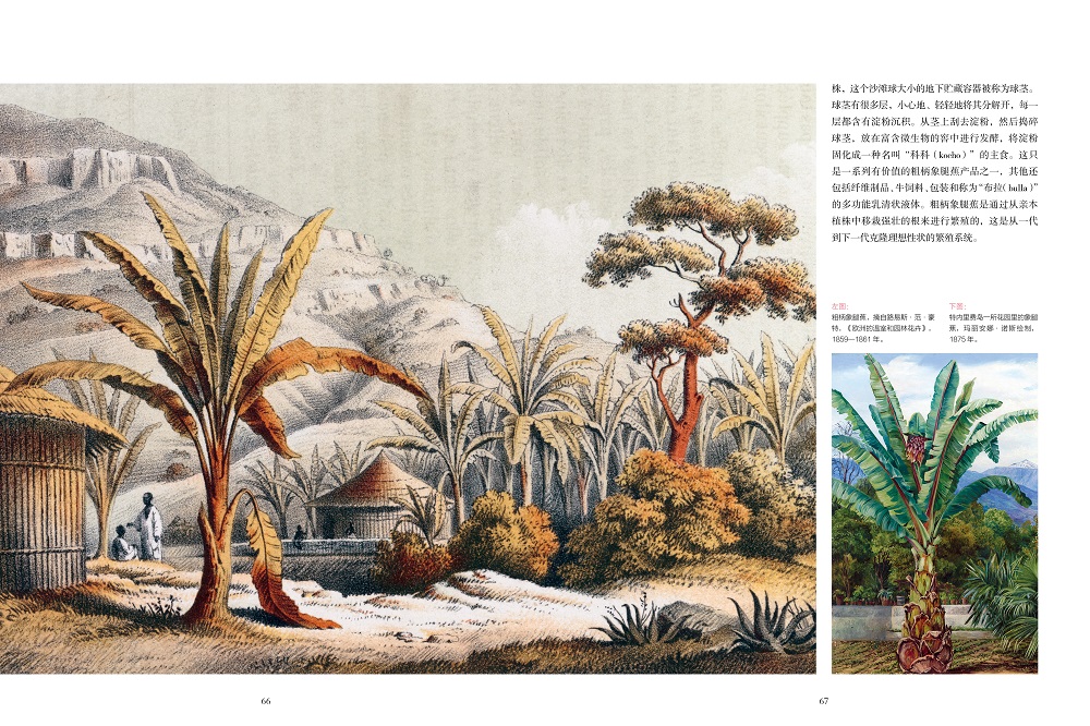 书摘5.jpg