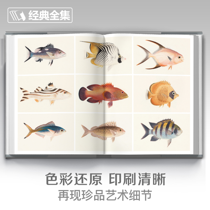 2023新書推薦：百花插畫集（重達1.85公斤）