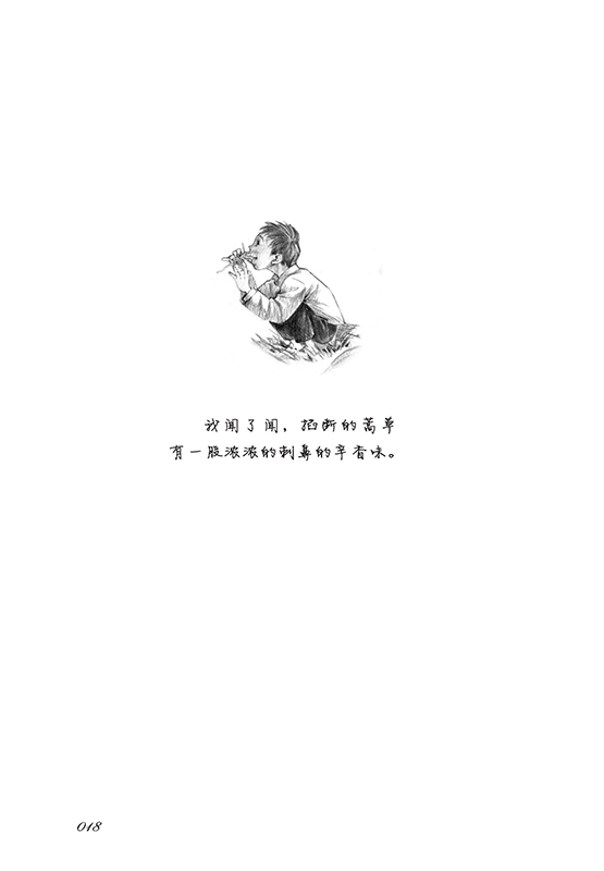 书摘5.jpg
