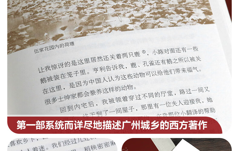 详情-28.jpg