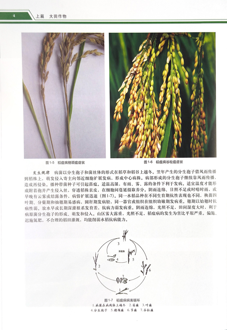 详情4.jpg