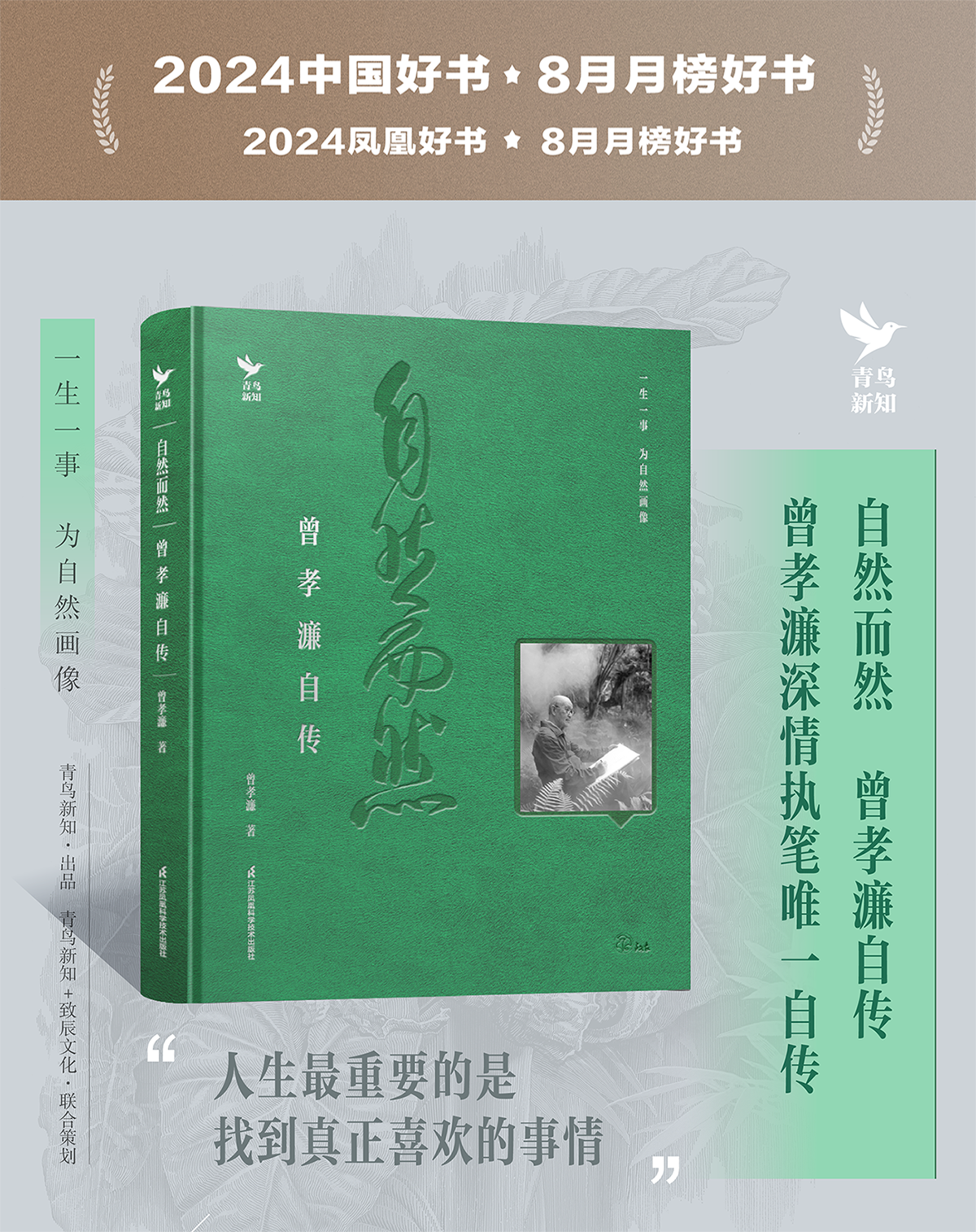 详情31.png