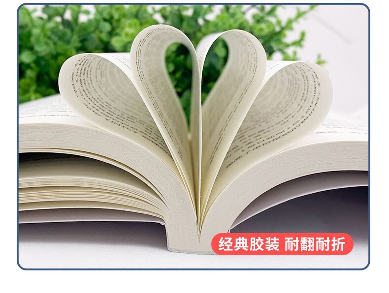 详情6.jpg