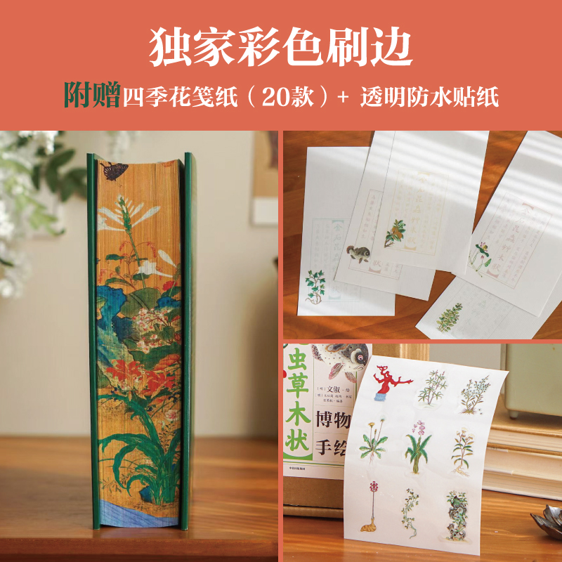 2025新書推薦【金石昆蟲草木狀:絕美中國博物手繪】刷邊版禮盒