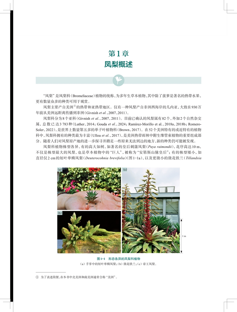 详情1.jpg