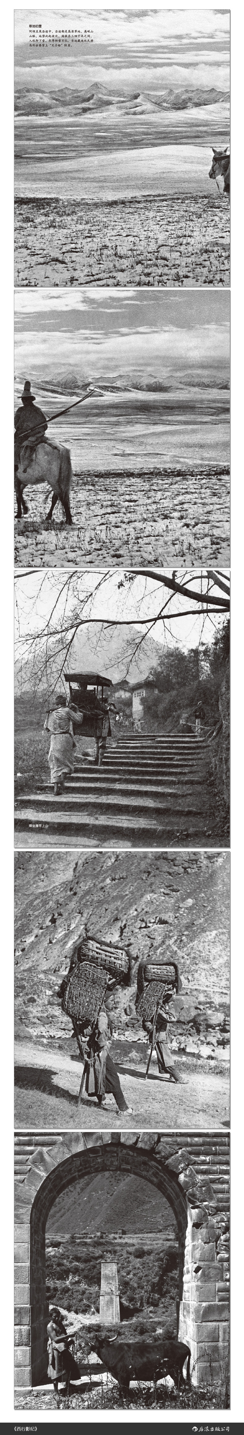 书摘1.jpg