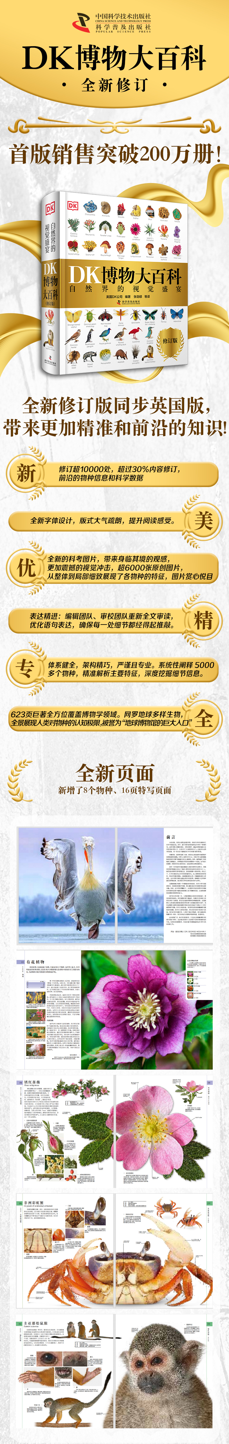 详情1.jpg