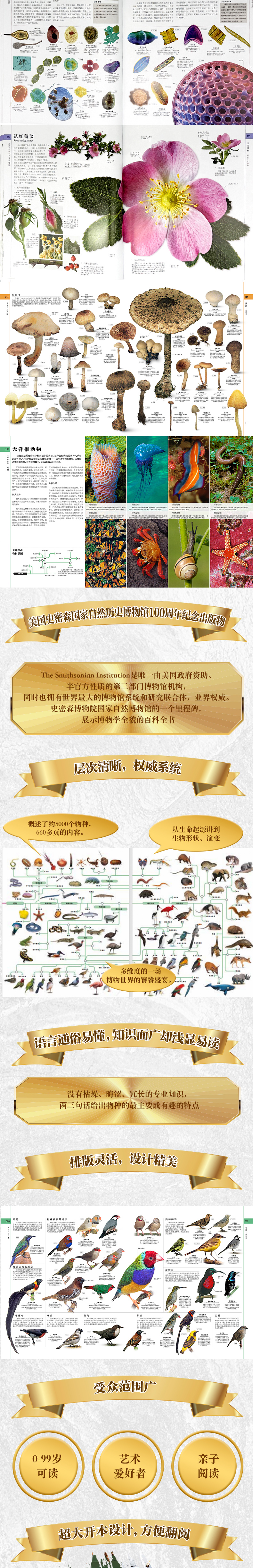 详情3.jpg