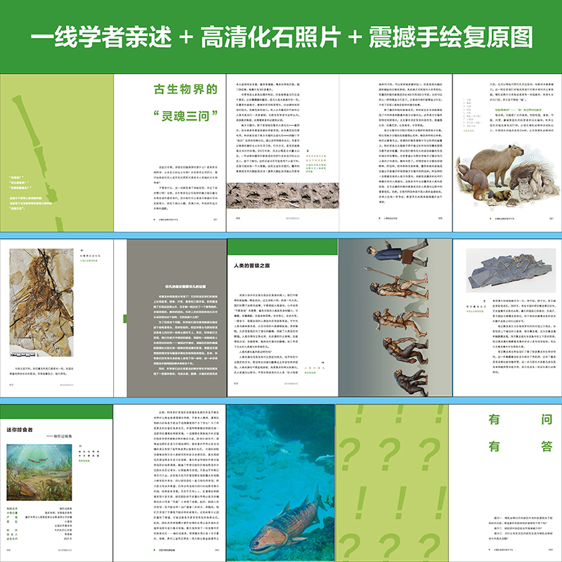 2025新書推薦：【咱們的國寶化石】全四冊
