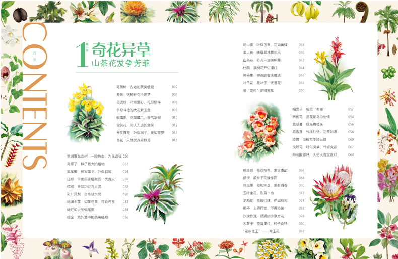 1777119153917550.jpg 目录4.jpg
